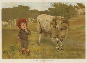 De jongen die de schapen dreef